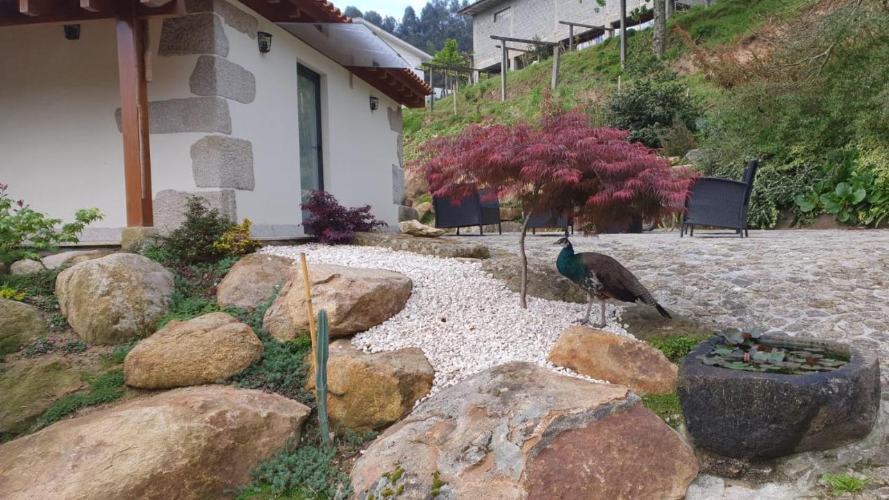 הוילה ארוקה Quinta Da Vinha Do Souto מראה חיצוני תמונה
