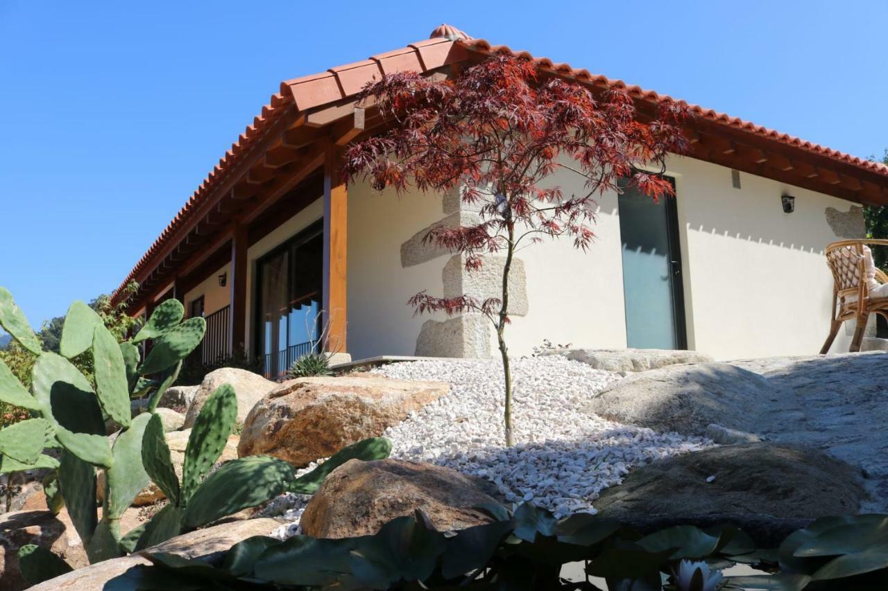 הוילה ארוקה Quinta Da Vinha Do Souto מראה חיצוני תמונה