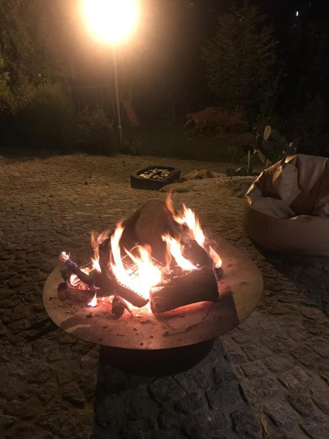 הוילה ארוקה Quinta Da Vinha Do Souto מראה חיצוני תמונה